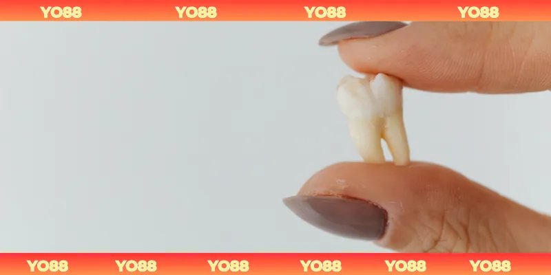 Nằm Mơ Thấy Rụng Răng