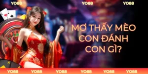 Mơ Thấy Mèo Con Đánh Con Gì